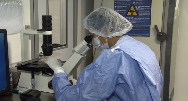 Células-tronco são usadas em estudo para combater a covid-19