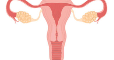 Colo do útero: Conheça 5 curiosidades que toda mulher precisa saber