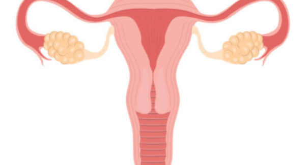 Colo do útero: Conheça 5 curiosidades que toda mulher precisa saber