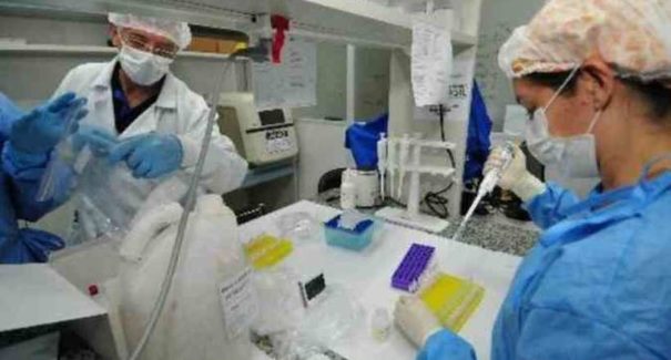 Covid-19: Brasil ultrapassa 64 mil mortos pela doença