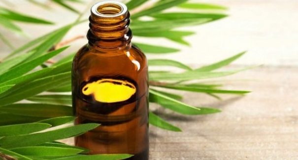 3 benefícios do óleo de melaleuca para a pele