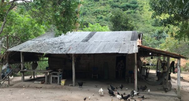 PCMA liberta mulher de cárcere privado e desmonta fábrica clandestina de armas de fogo