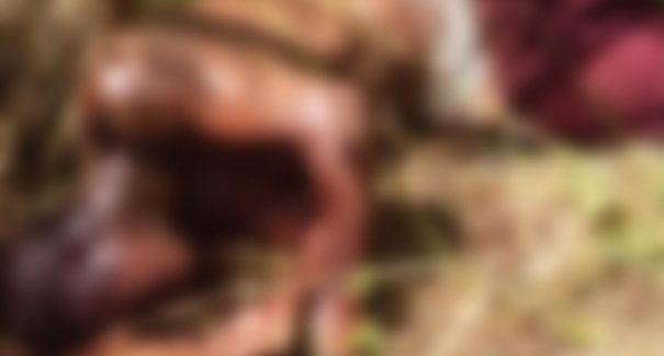 Corpo de um homem é encontrado no bairro Cidade Operária, em São Luís