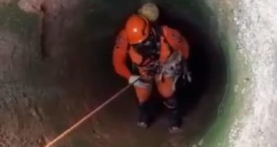 Bombeiros salvam cadela que caiu em poço de 15 metros no Alto do Turu