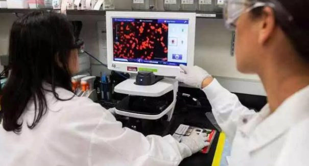 Apenas em 2021 pessoas começarão a receber vacina para COVID-19, diz OMS