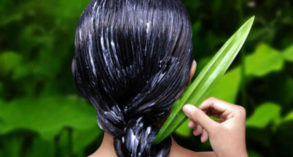 4 benefícios da babosa para o cabelo
