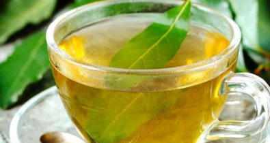 3 benefícios do chá das folhas de louro para o corpo