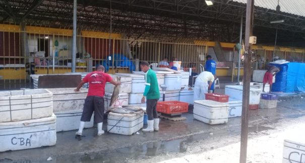 Veja a história do bairro do Desterro e seu comércio de pescado