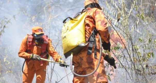 Número de focos de queimadas cai no Maranhão após ações do Corpo de Bombeiros
