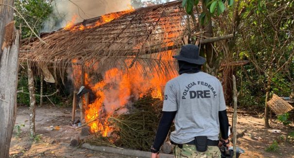 Polícia Federal apreende mais de 700 kg de maconha no Maranhão