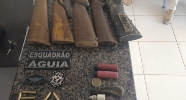 Nove armas de fogo são apreendidas durante operação policial