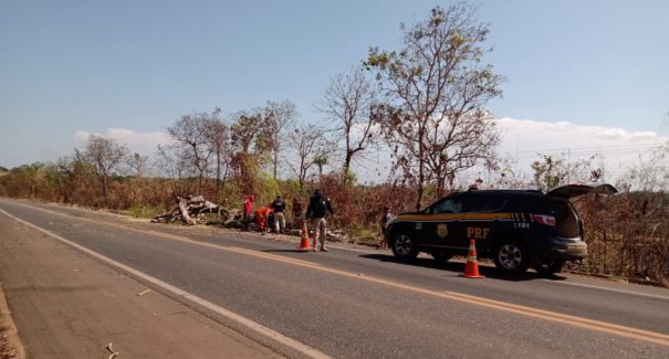 Árvore de grande porte cai e trânsito na BR-010 é interditado
