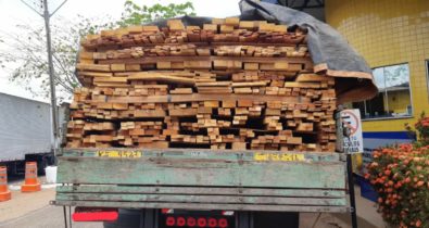 PRF-MA já apreendeu 76 carretas transportando madeira irregular em 2020