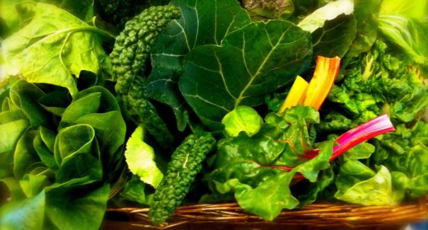 Conheça os melhores alimentos para seu colágeno