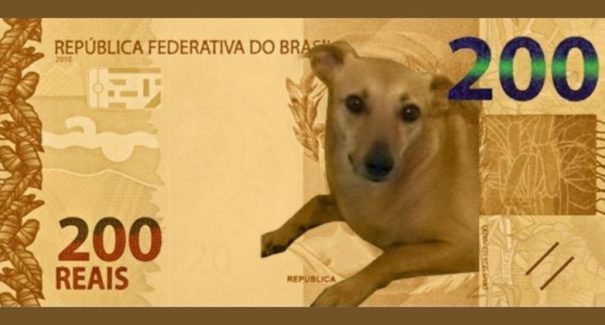 Mesmo não indo para a nova cédula de R$ 200,00, “vira-lata caramelo” pode virar moeda