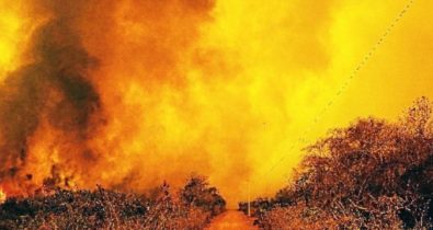 Incêndios no Pantanal aumentaram 210% em 2020, aponta Inpe