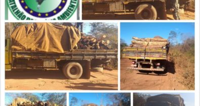 Carregamento com madeira ilegal é apreendido em Mirador