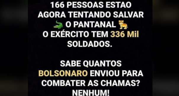 Nenhum militar foi enviado para combater os incêndios no Pantanal? Checamos!