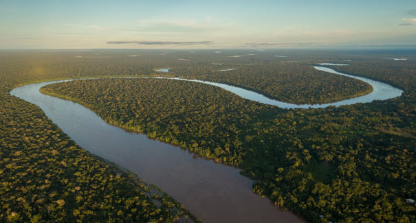 Países da OTCA assinam declaração de apoio ao Fundo Florestas Tropicais para Sempre na COP30