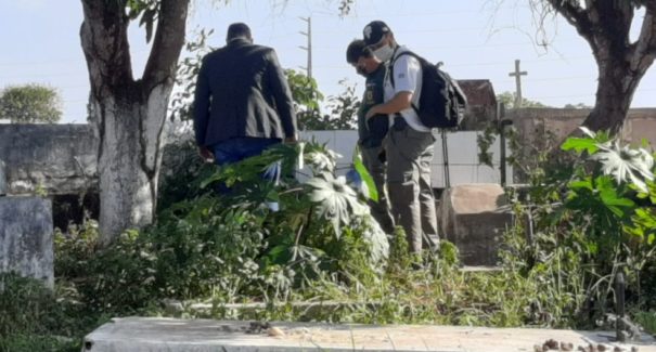 Seis pessoas podem estar envolvidas no assassinato da idosa