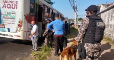 Polícia efetua diversas ações policiais na região metropolitana de São Luís