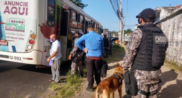 Polícia efetua diversas ações policiais na região metropolitana de São Luís