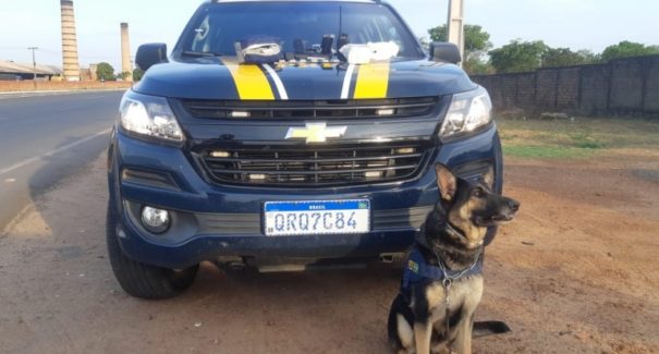 PRF prende dois homens de alta periculosidade em Timon