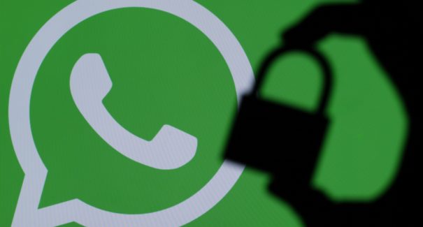 Mais de 15 mil brasileiros têm o whatsapp clonado por dia