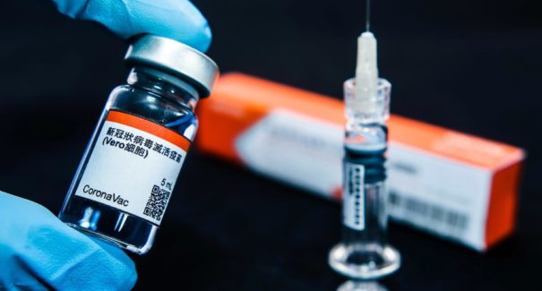Coronavac e vacina de Oxford são genéticas e testes em porcos não funcionaram? Checamos!