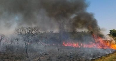 Indígena provocou queimada criminosa no Cerrado em 2020? Checamos!