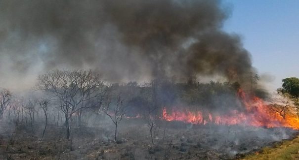Indígena provocou queimada criminosa no Cerrado em 2020? Checamos!
