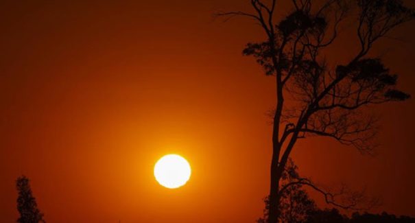 Alto índice de temperatura: Setembro foi o mês mais quente da história