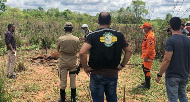 Cavalo morre após ser abandonado