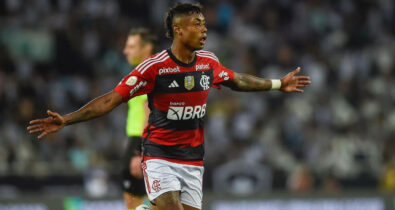 Botafogo perde clássico para o FLA, mas distância para o Palmeiras ainda é grande