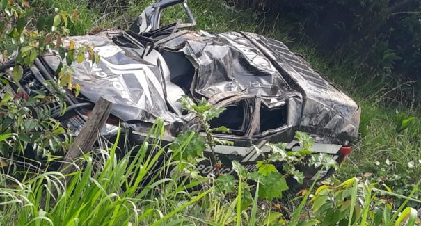Vídeo: Viatura da Polícia Civil capota na BR-316 e escrivão morre
