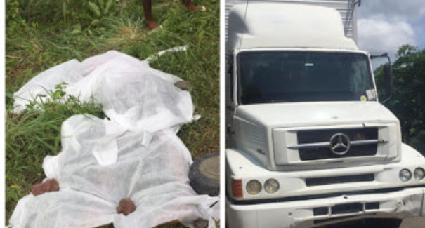 Acidente envolvendo caminhão na BR-222 resulta na morte de motociclista