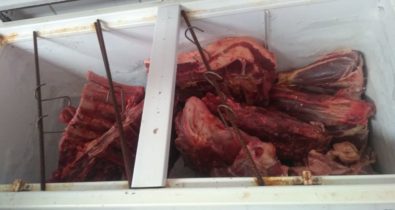 Mais de 300 kg de carne imprópria para consumo é apreendida