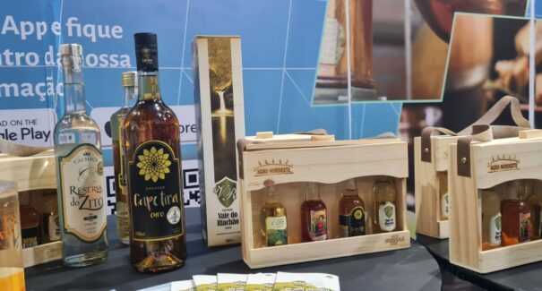 Dia da Cachaça: versátil, bebida é destaque no programa Agro Nordeste do Sebrae