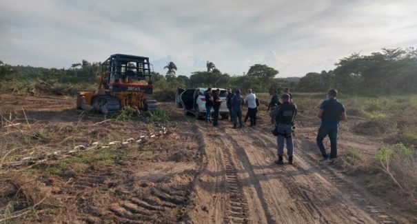Dupla é presa por crime ambiental no Maranhão