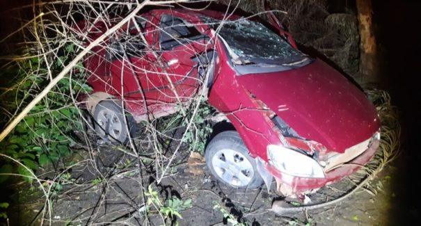 Veículo bate em árvore e capota na BR-316