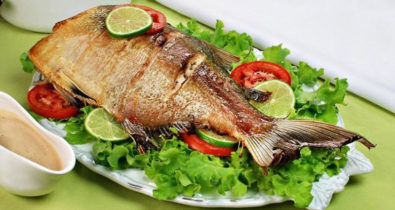 Confira os riscos e benefícios do consumo de peixe