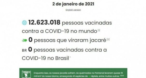 Monitor estima número de vacinados contra covid-19 e de transformações em jacaré