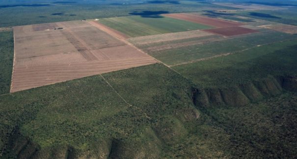 Desmatamento aumenta 40% no cerrado maranhense