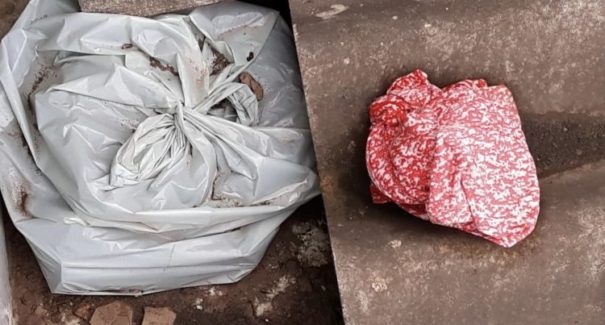Denúncia sobre suposta granada aciona equipe do BOPE em São Luís
