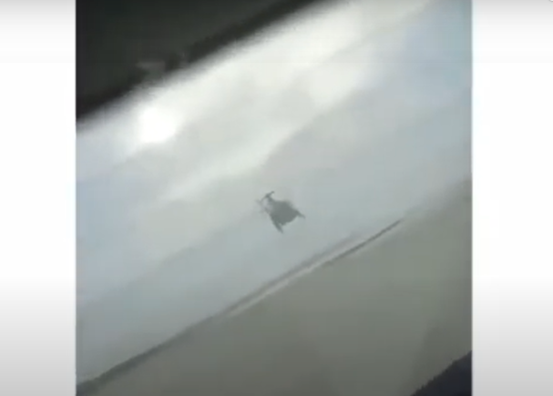 Vídeo: homem é parado por helicóptero da PM após fazer “cavalo de pau”
