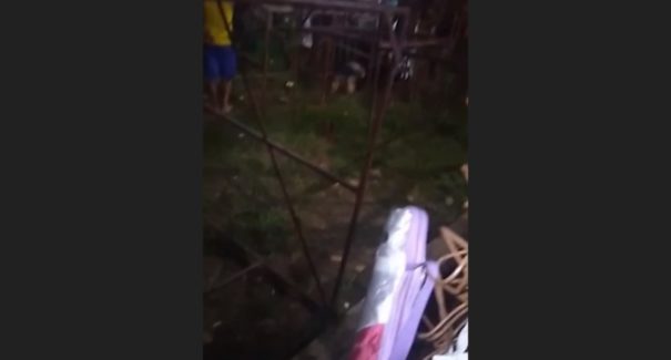 Duas crianças e uma mulher caem de roda gigante, na Vila Embratel