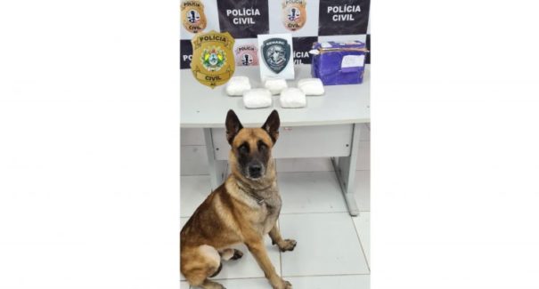 Operação interestadual prende mulher por tráfico de drogas