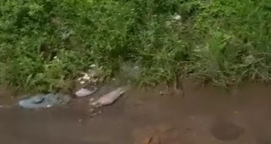 Vídeo: Vazamento de água do poço de empresa no Alto do Jaguarema