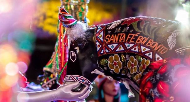 Bumba Meu Boi: Da criminalização a maior festa cultural do estado