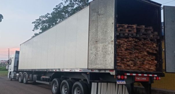 Carga de madeira ilegal é apreendida na BR-010